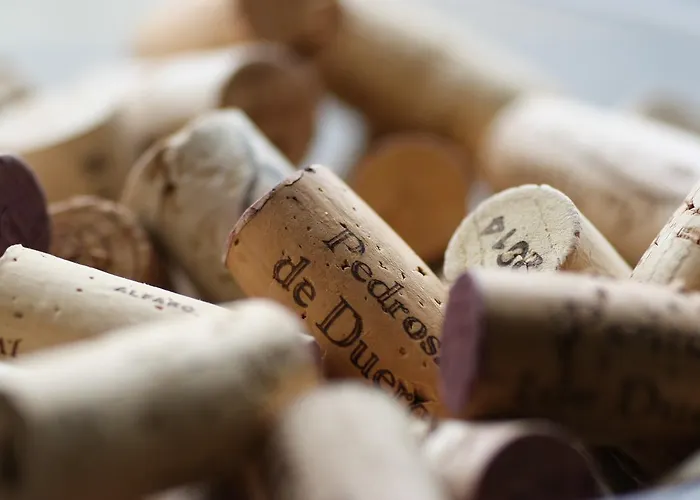 Pontes Do Eume Otel 2*